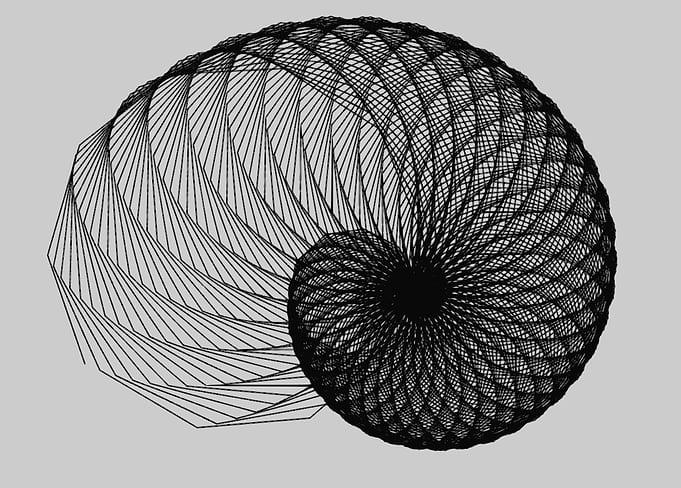 Seashell
