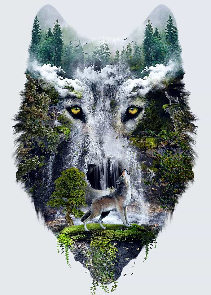 wolves