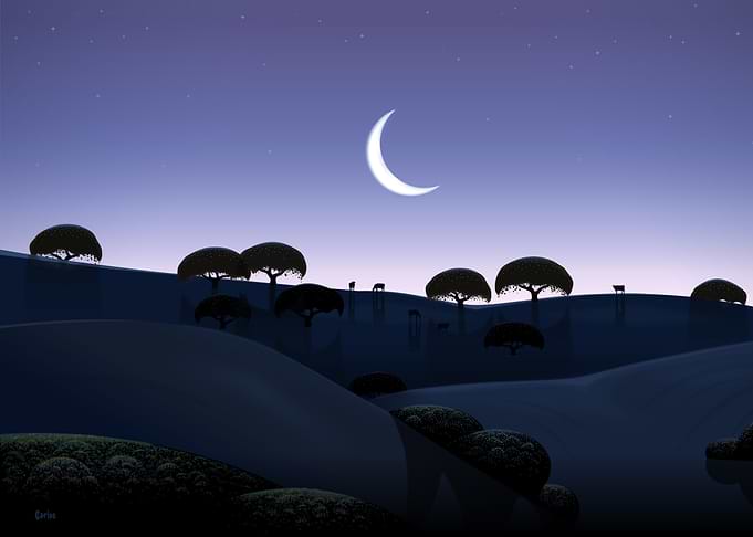 Moonrise