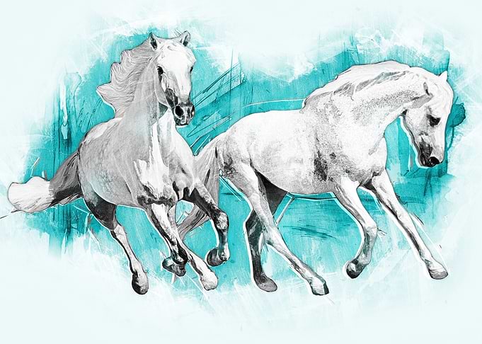 Horses