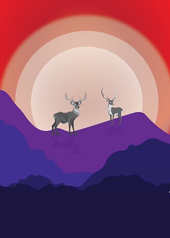 Deer