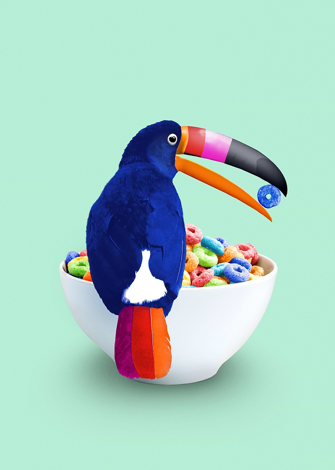 Breakfast Toucan