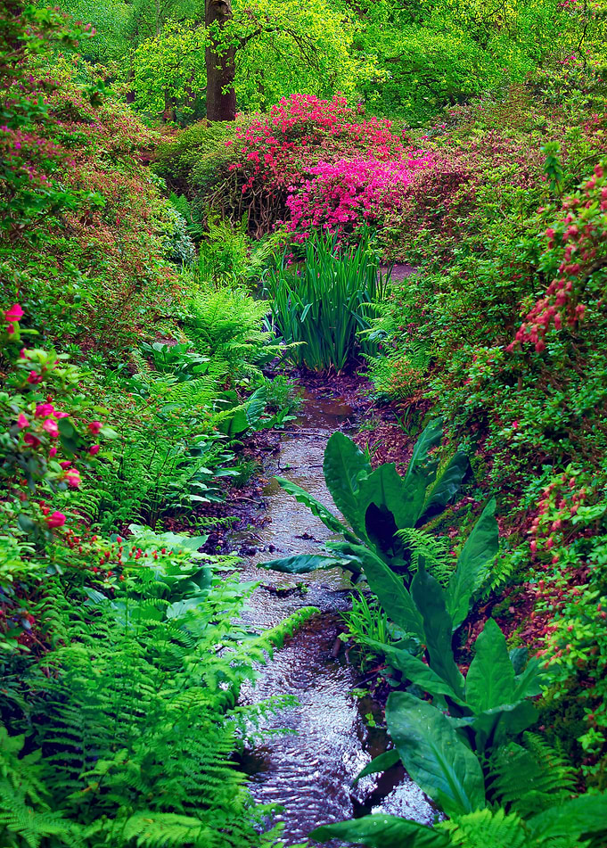 Beginning of a river
