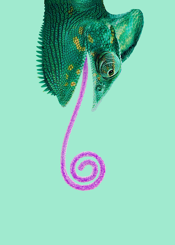 Candy Chameleon