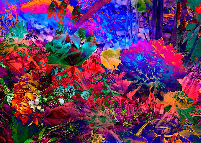 Floral Dream of Summer