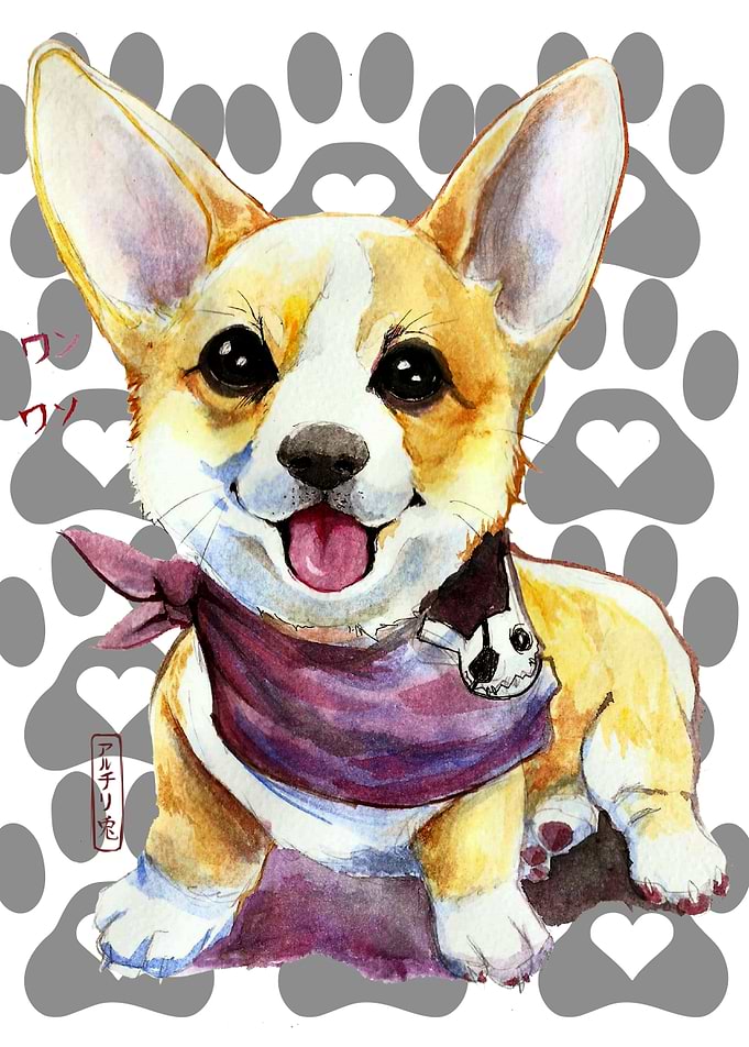 Corgi