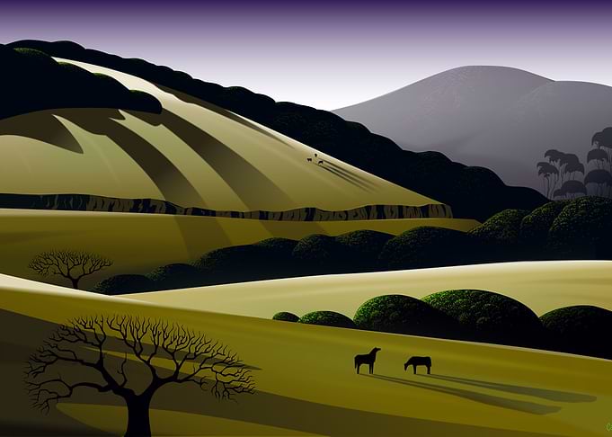Napa Hills