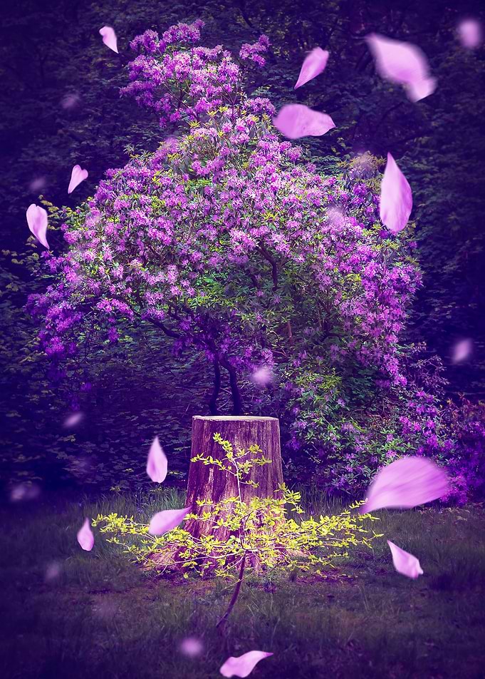 Romantic petals