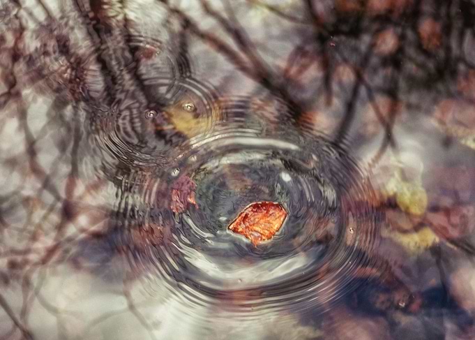 Dropping leafs