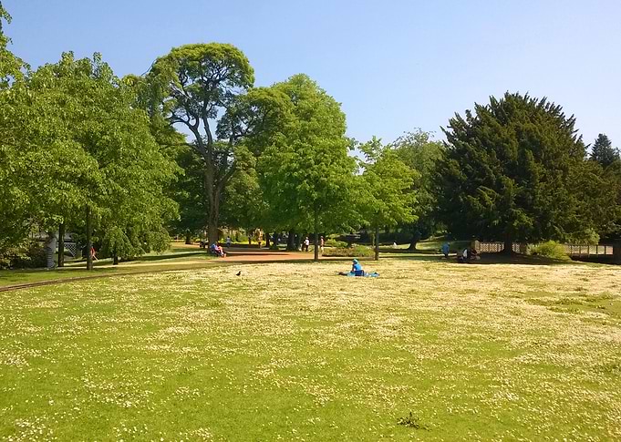 Picnic in the Park