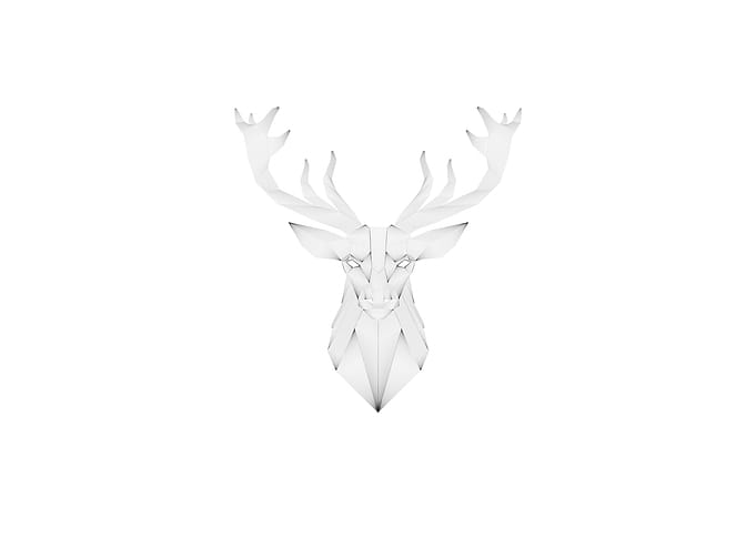 Deer made of lines