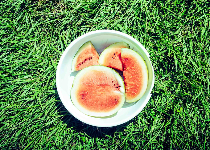 watermelon on garden