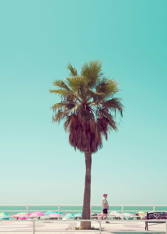 Another Summer Postcard