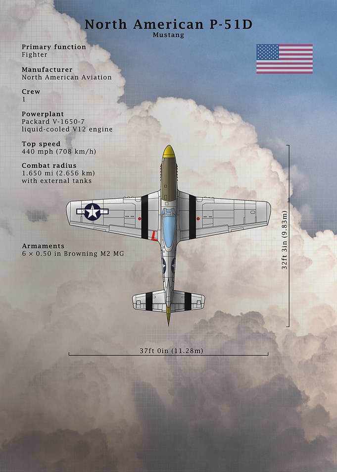 P 51D Mustang