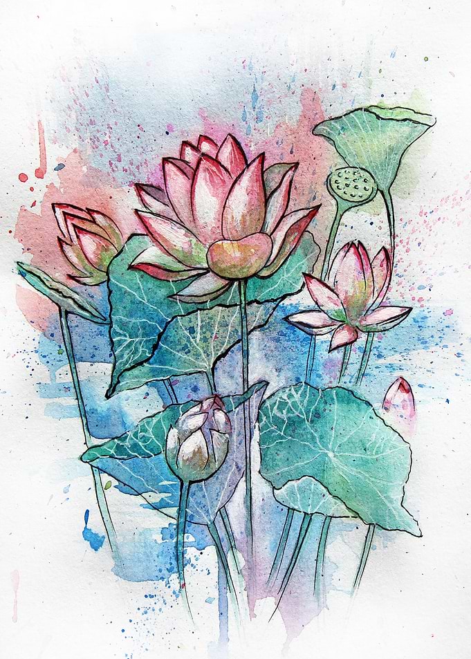 Water lilies splatter