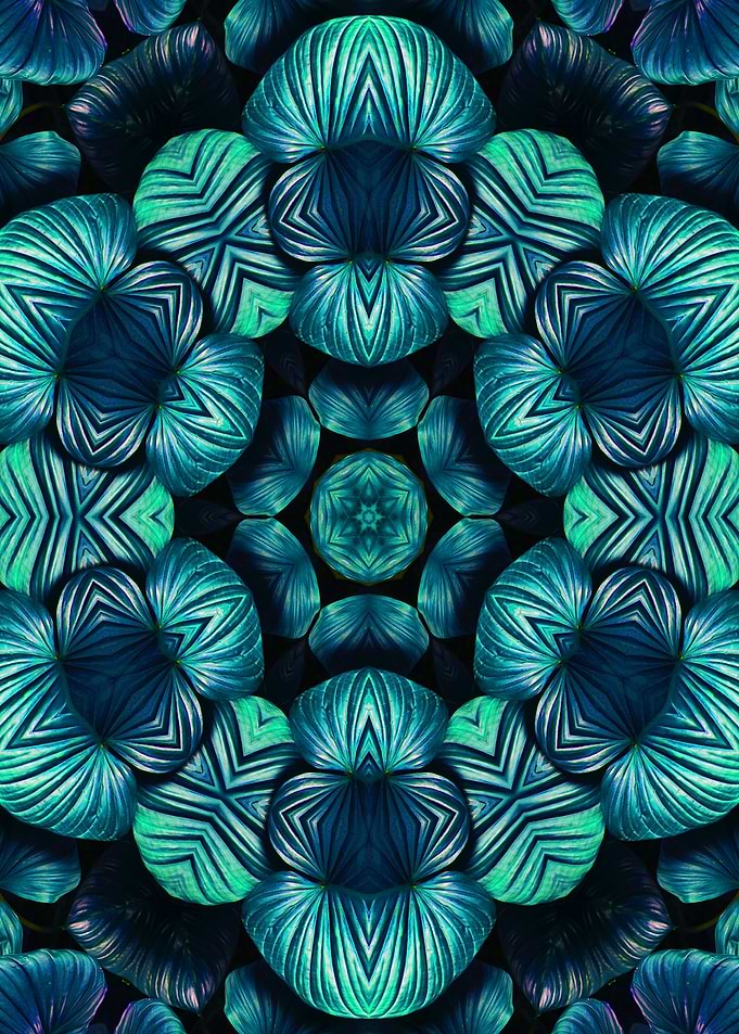 floral mandala