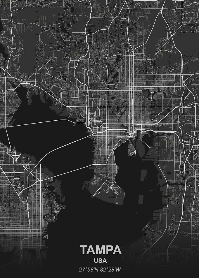 Tampa USA city map