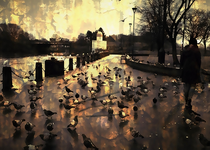 Girl Among The Pigeons