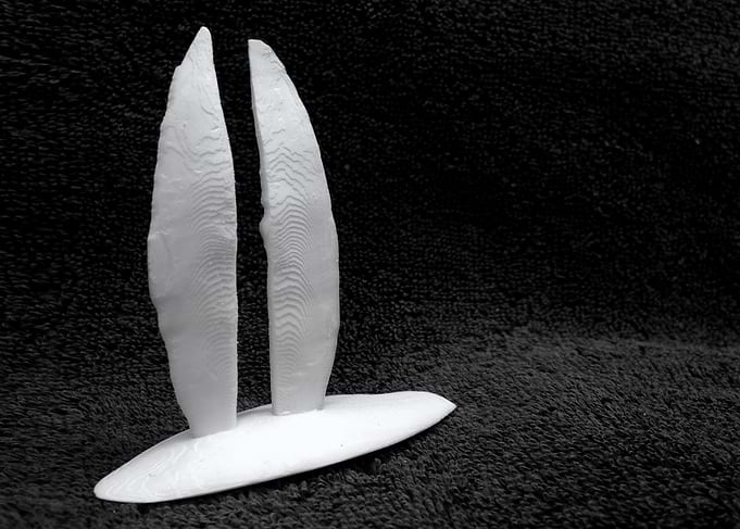 Cuttlefish Sailing Boat