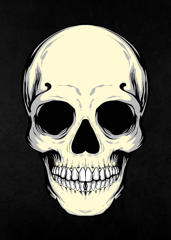 Skull