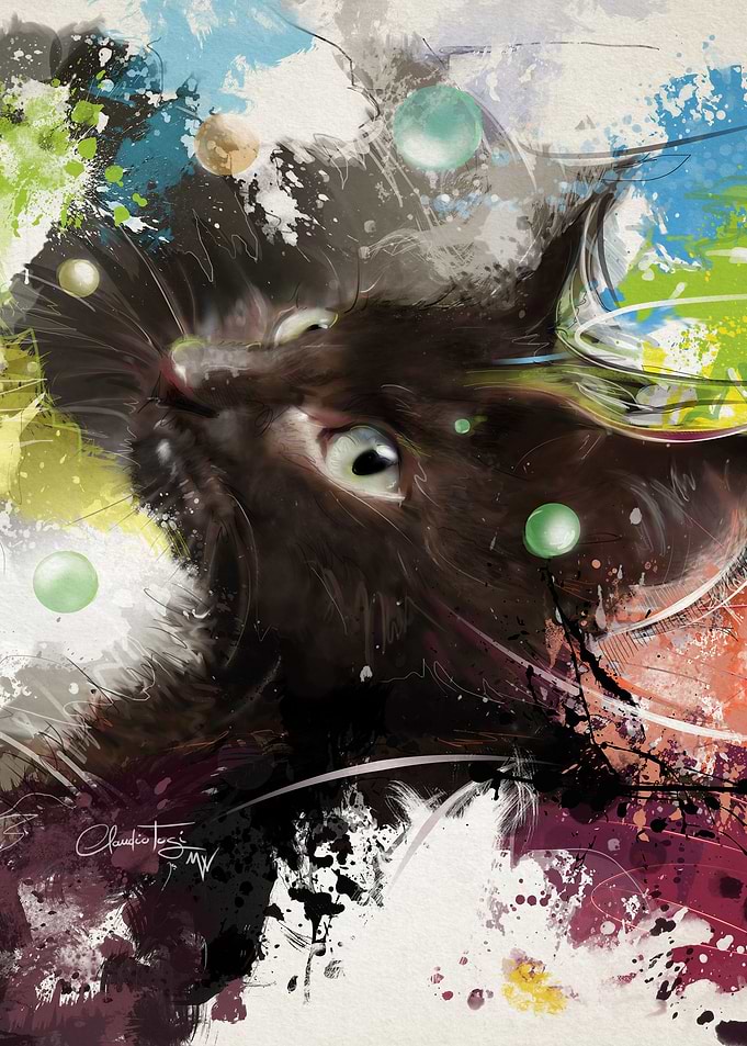 Cat and Bubbles