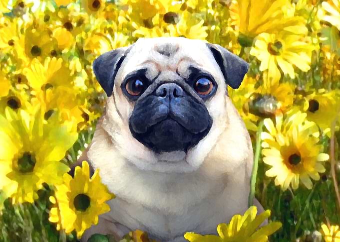Smell The Flowers
