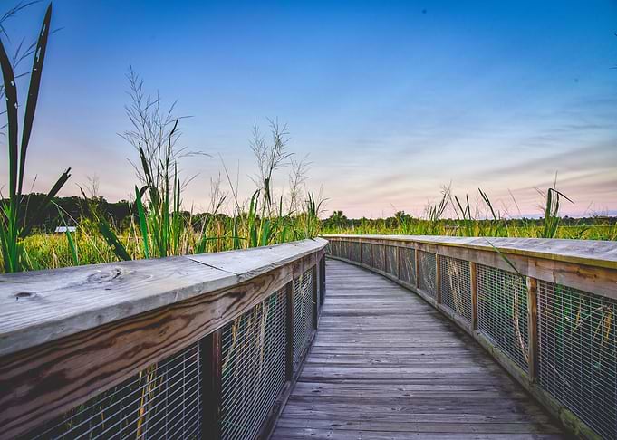 Sweetwater Wetlands Park