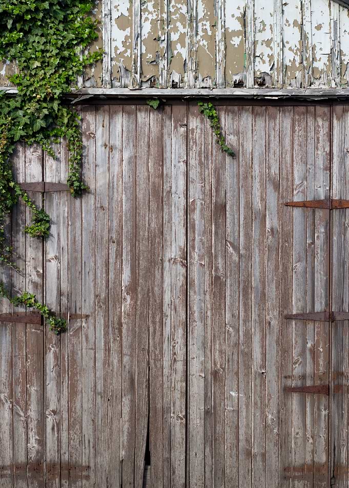 Old shed