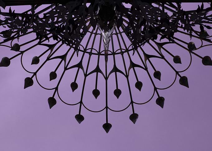 Peacock in purple