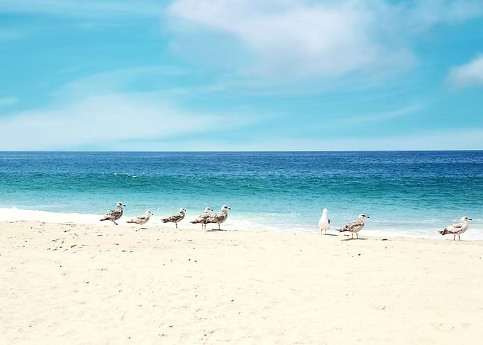 Wave watching