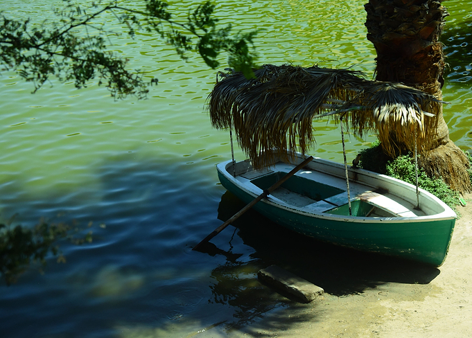 The boat in the water