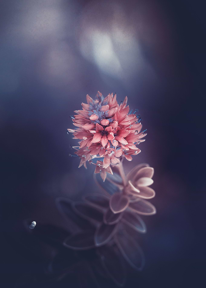 Unsung