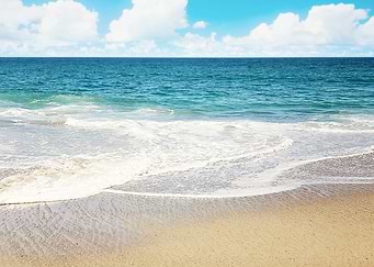 Beach Vibes