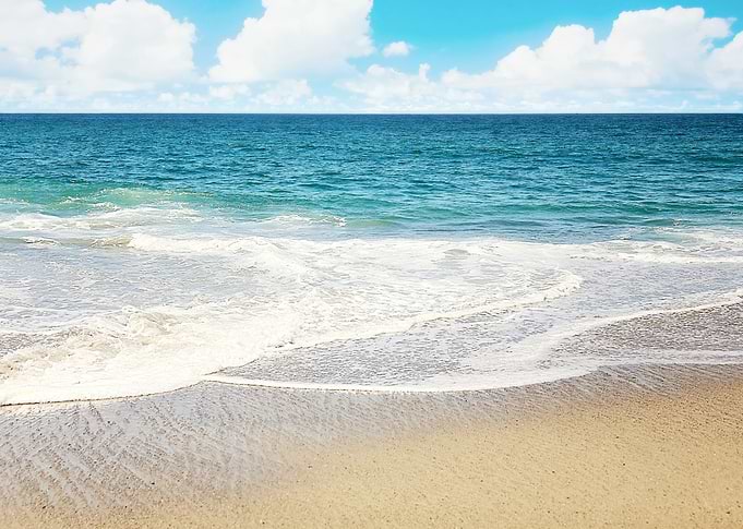 Beach Vibes
