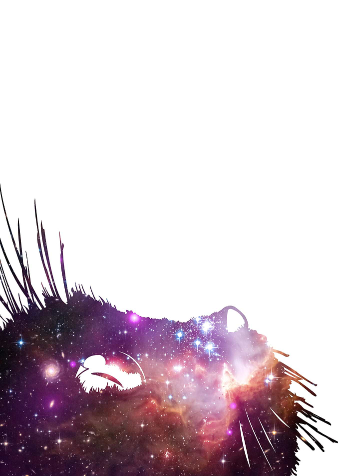 Into the Void