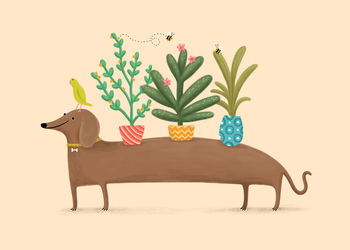 Dacshund and Parrot