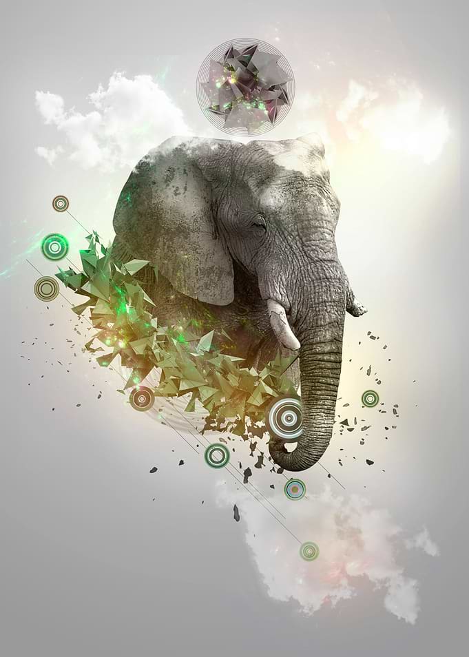 Abstract Effect Animal
