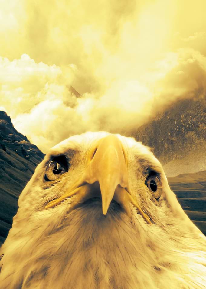 Eagle's Strength