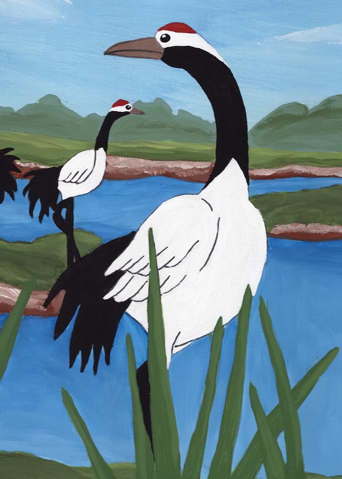 Japanese Cranes