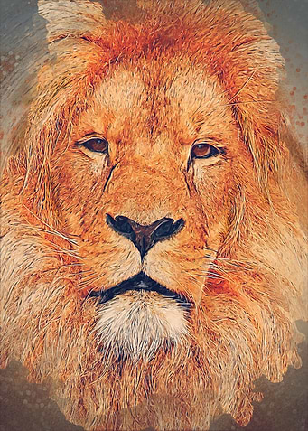 big lion