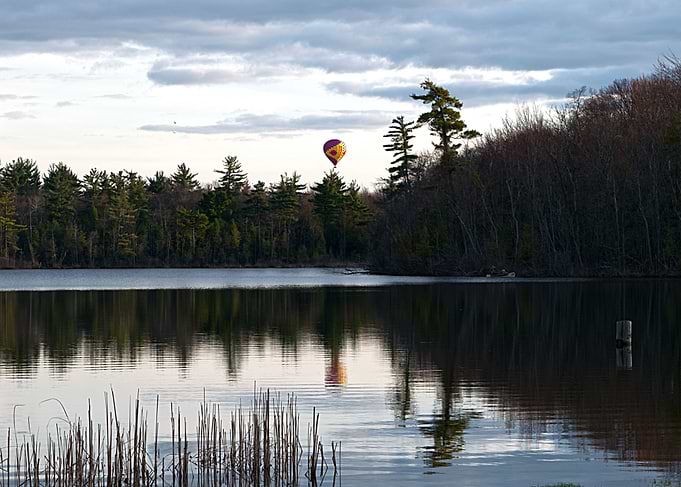Balloon Fever