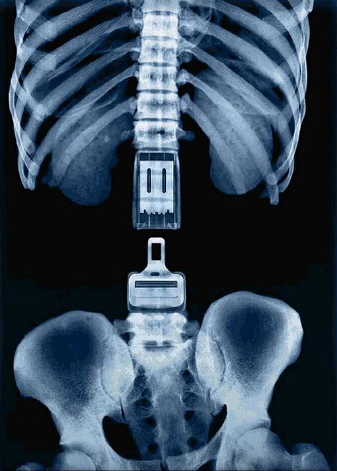 Safe belt Secure