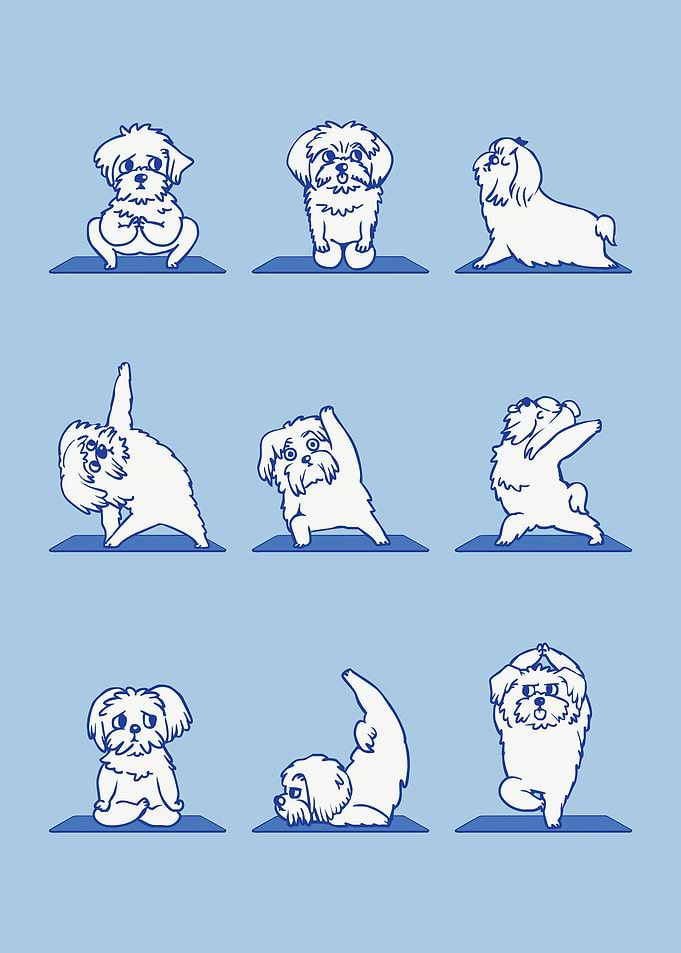 Maltese Yoga