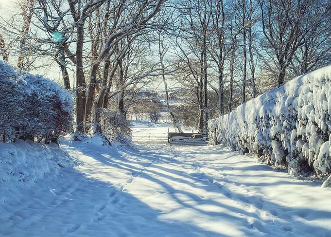 Snow lane