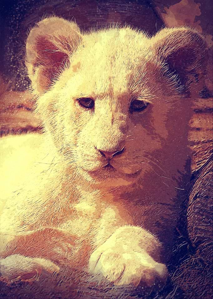 small lion