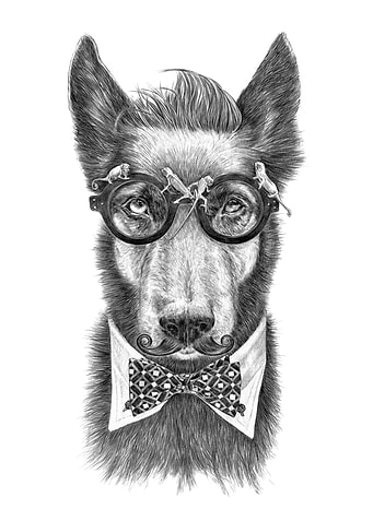 Hipster Dog