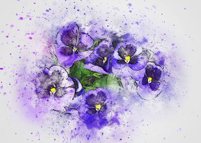 Cute Purple Flowers