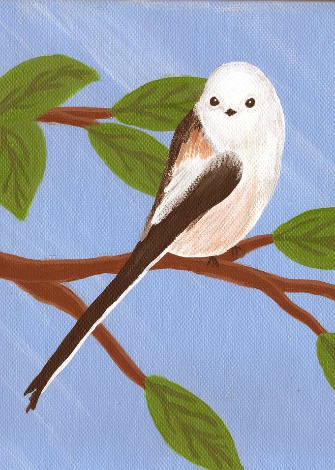 Long Tailed Titt