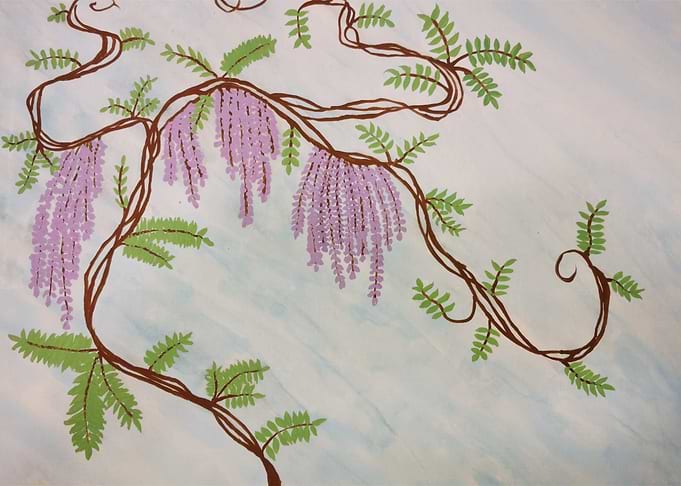 Wisteria