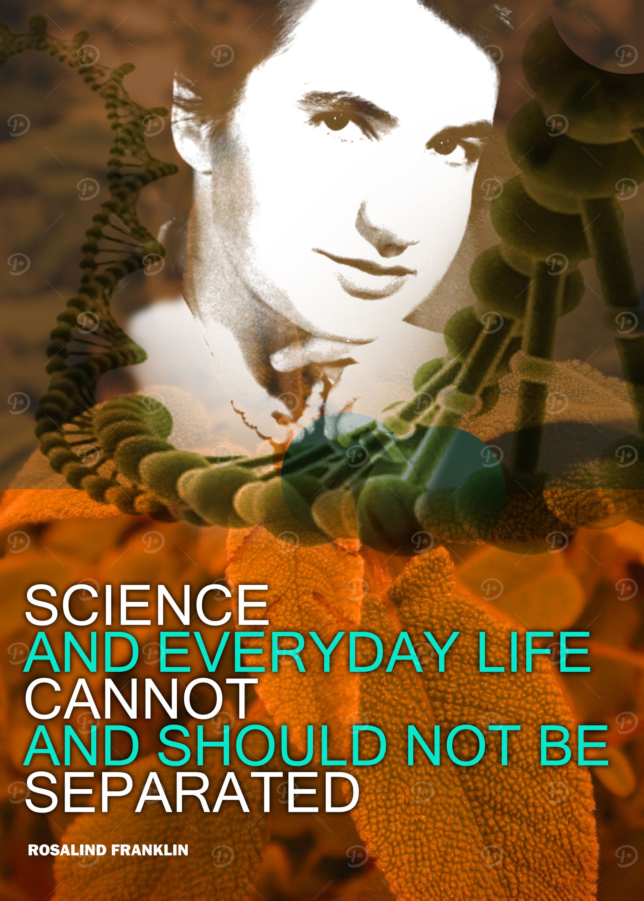 Rosalind Franklin Quote 1